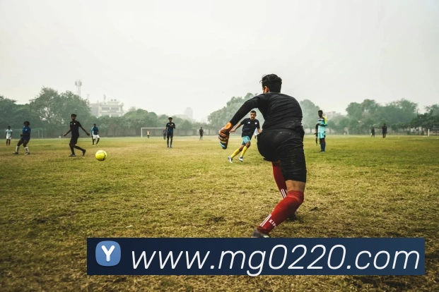 MG娱乐平台官网服务体系