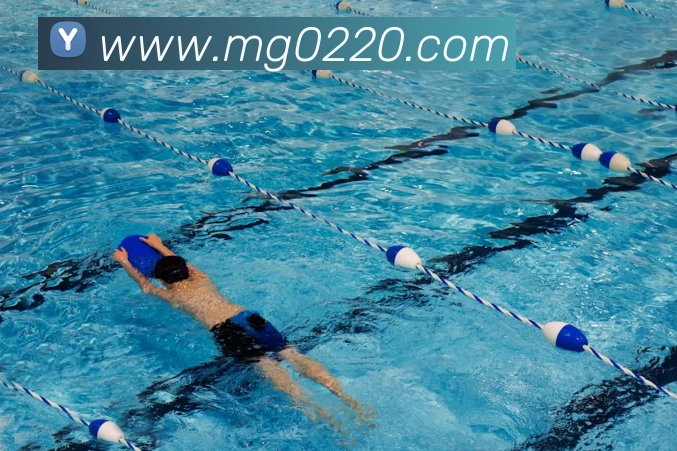 MG娱乐平台官网APP 体育赛事宣传图